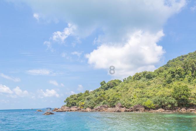 牛油果面包